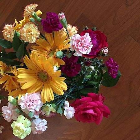 Guesthouse Flora Lodi Dış mekan fotoğraf