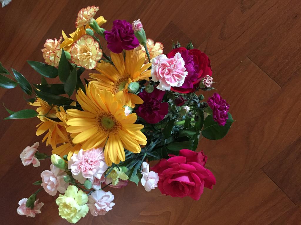 Guesthouse Flora Lodi Dış mekan fotoğraf
